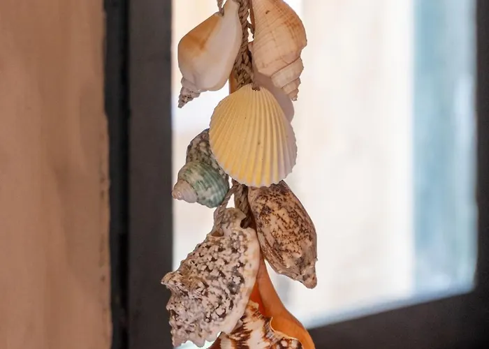 The House Of The Rising Tide Boutique 酒店 *
